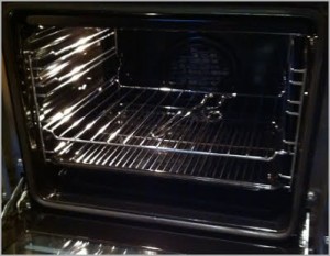 oven cleaning shine